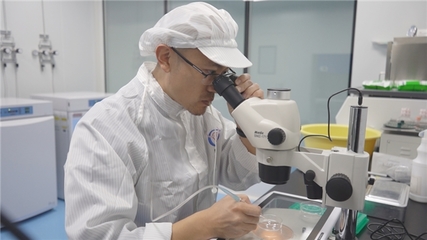 現(xiàn)代牧業(yè)副總裁、技術總工程師張學:如何用科技重新定義行業(yè)