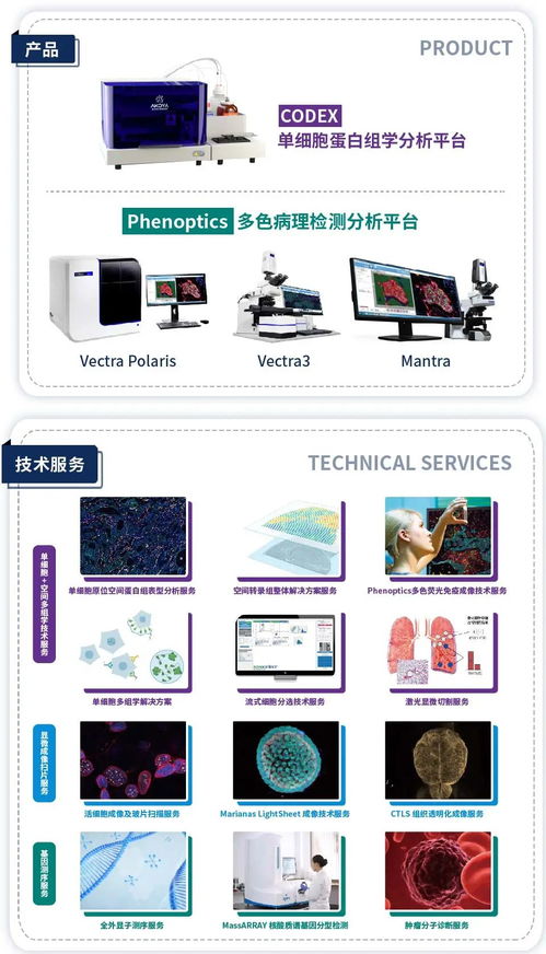 cell 單細胞 多色免疫熒光技術在研究腫瘤疫苗新靶點中的應用